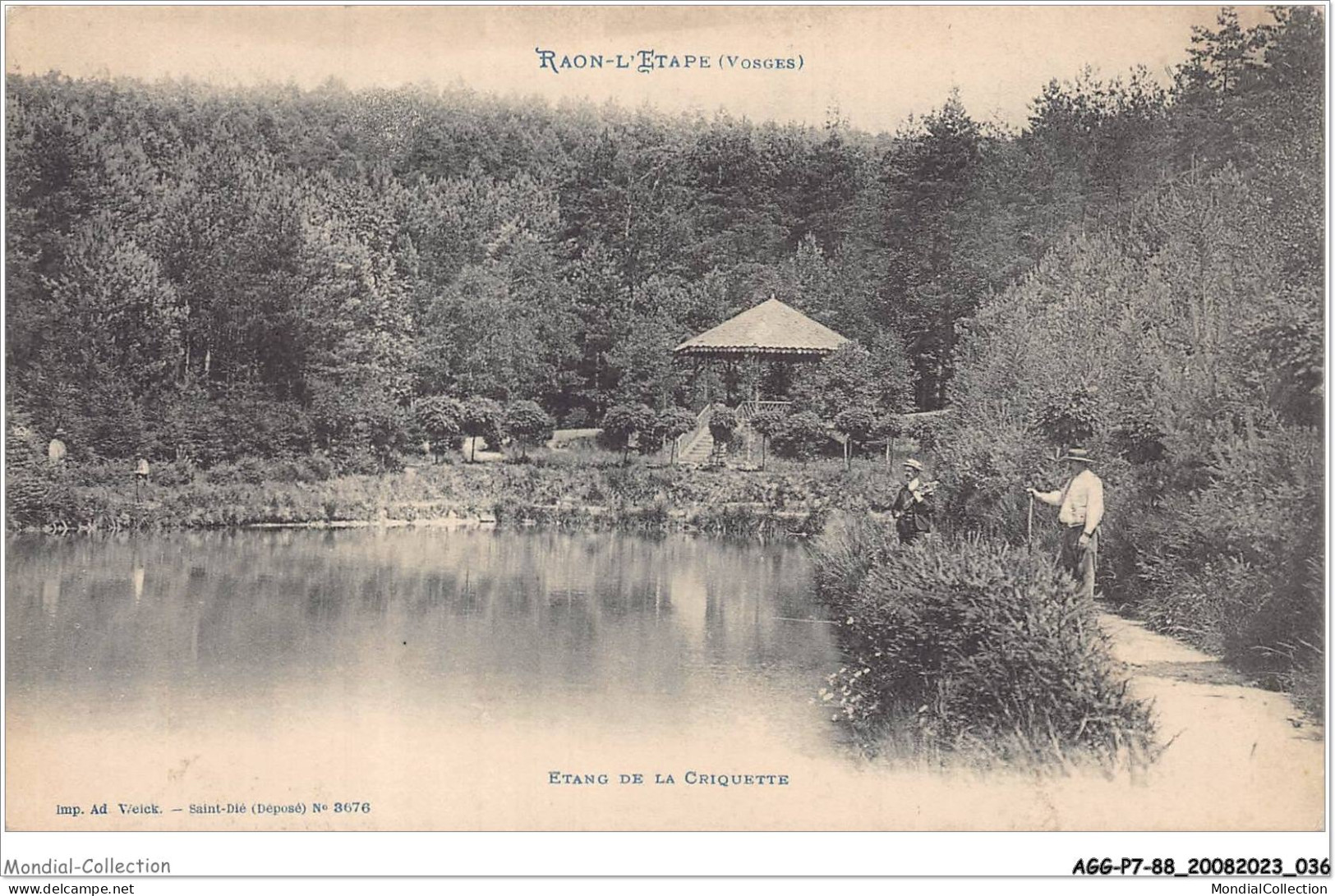 AGGP7-88-0539 - RAON-L'ETAPE - Etang De La Criquette - Raon L'Etape