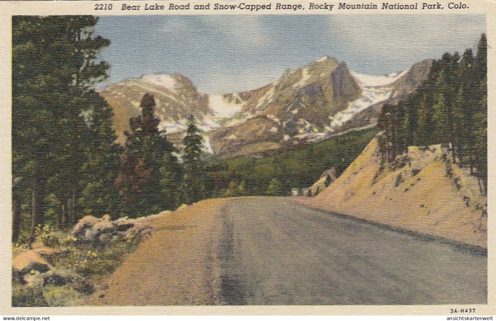 Rocky Mountain Nat.Park, Bear Lake Road And Snow-Copped Range Ngl #E8723 - Sonstige & Ohne Zuordnung