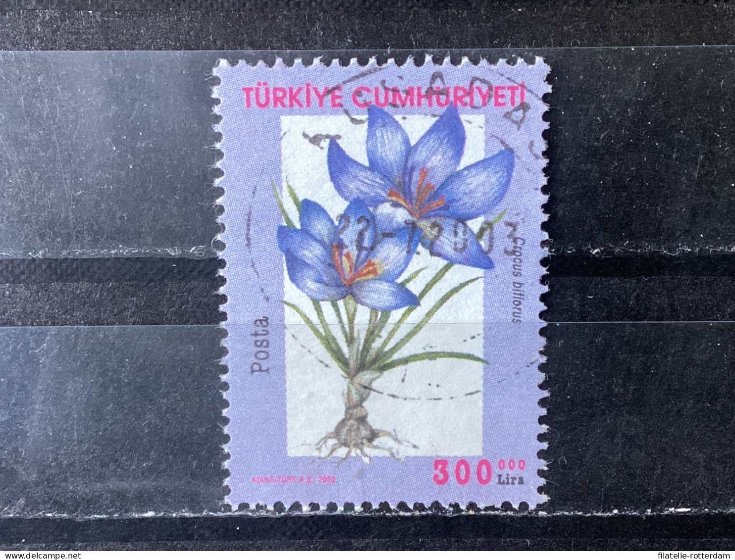 Turkey / Turkije - Flowers (300.000) 2000 - Oblitérés