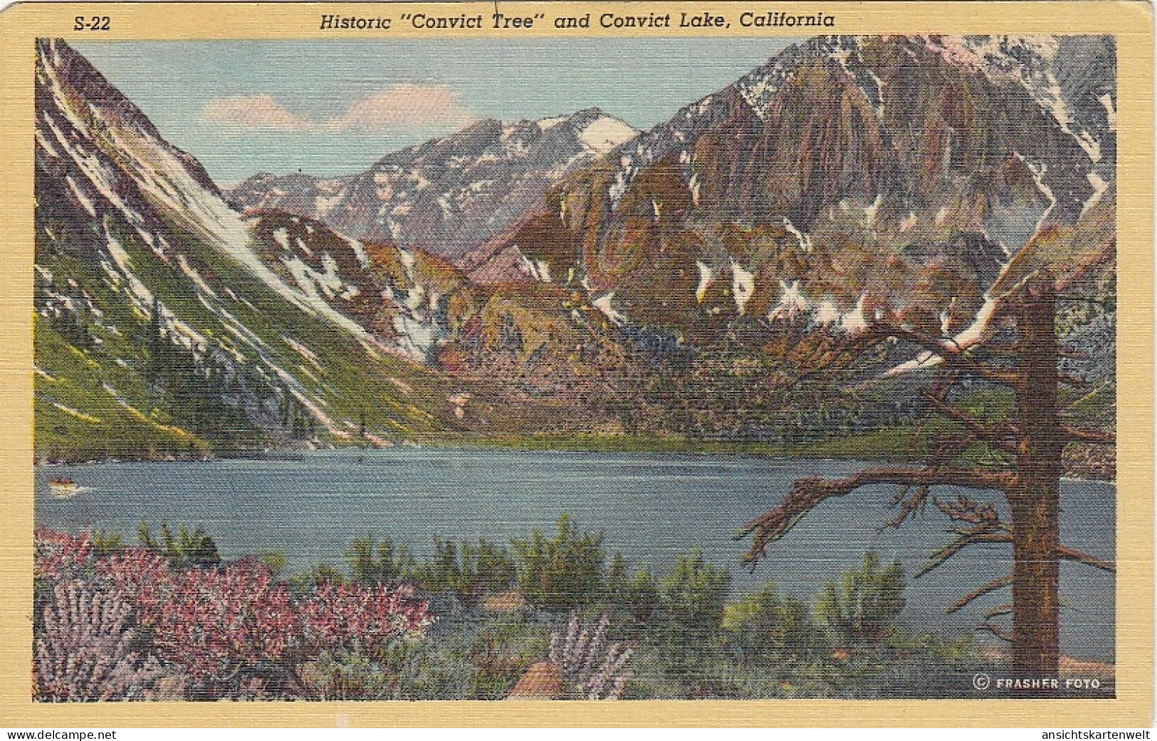 Convict Lake, CA., Hictoric Convict Teree Ngl #E9131 - Other & Unclassified