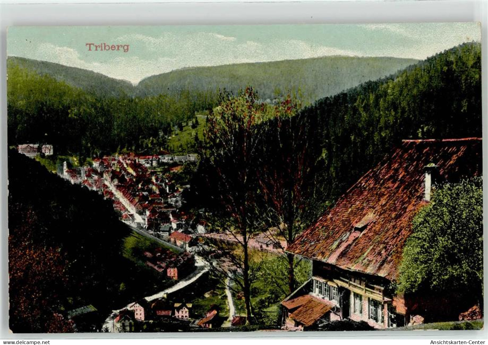 51878807 - Triberg Im Schwarzwald - Triberg