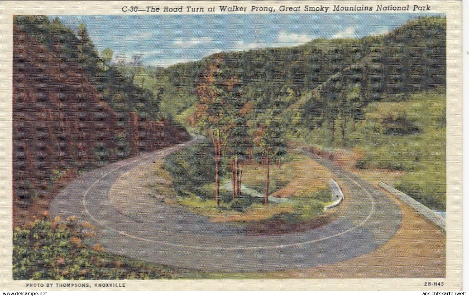 Great Smoky Mountains Nat.Park, The Road Turn At Walker Prong Ngl #E8721 - Sonstige & Ohne Zuordnung