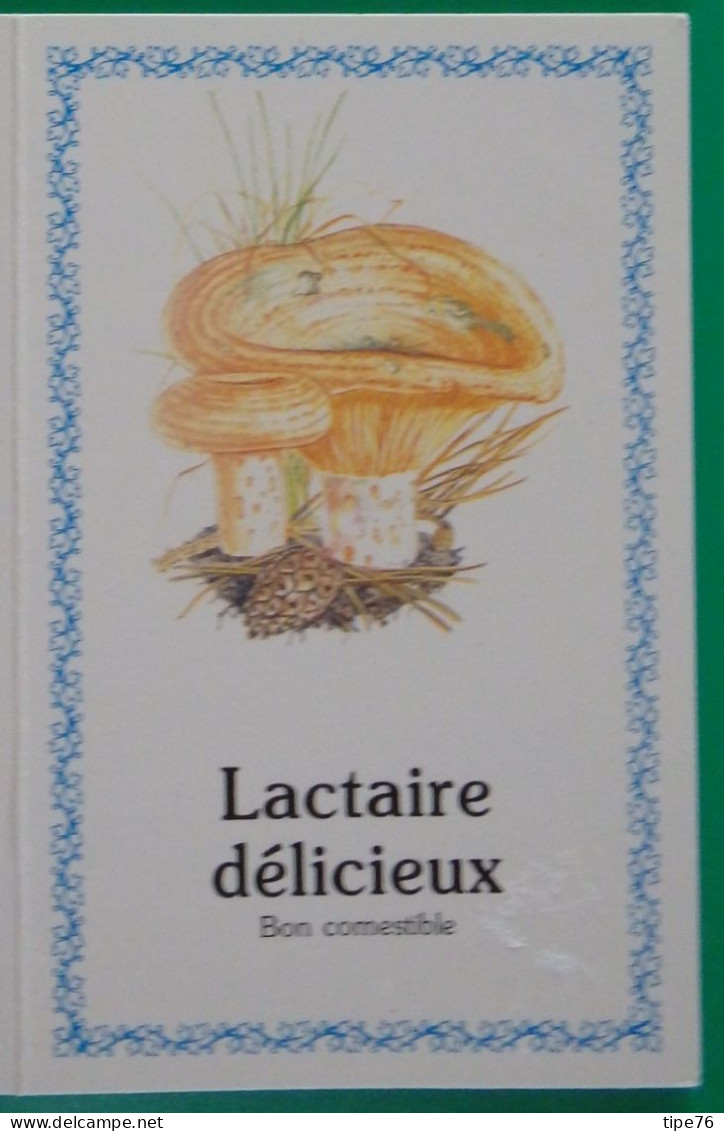 Petit Calendrier De Poche 1991 Champignon Lactaire Délicieux - Tamaño Pequeño : 1991-00