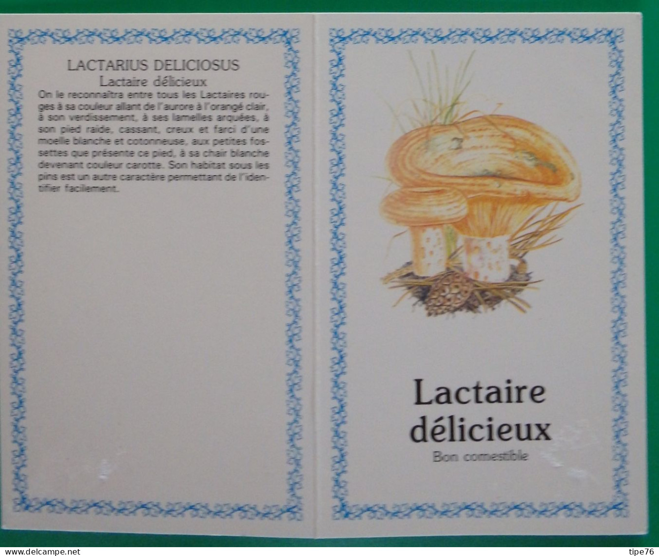Petit Calendrier De Poche 1991 Champignon Lactaire Délicieux - Tamaño Pequeño : 1991-00