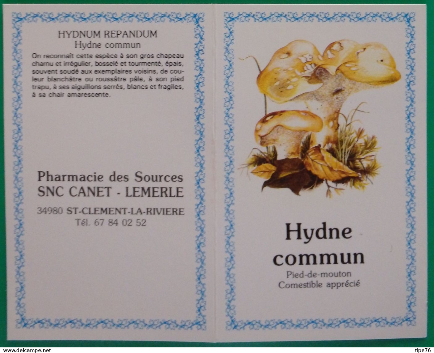 Petit Calendrier De Poche 1990 Champignon Hydne Commun Pharmacie St Clément La Rivière Hérault - Tamaño Pequeño : 1981-90