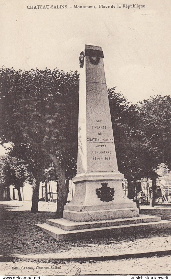 Chateau-Salins, Monument, Place De La République Ngl #F0444 - Autres & Non Classés