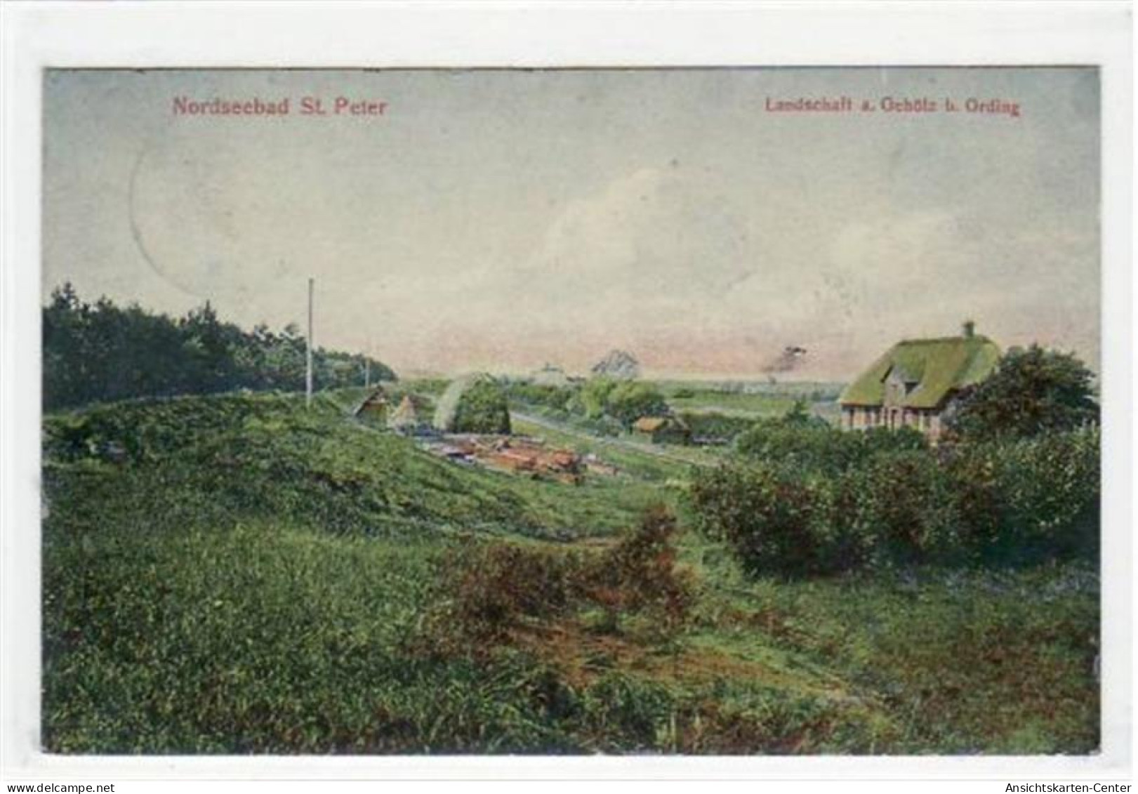 39069207 - St. Peter - Ording Mit Landschaft A. Gehoelz Gelaufen, 1907. Leichte Abschuerfungen, Leichter Stempeldurchdr - St. Peter-Ording