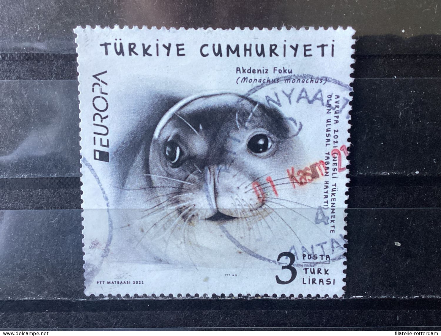 Turkey / Turkije - Europa, Endangered  Animals (3) 2021 - Used Stamps