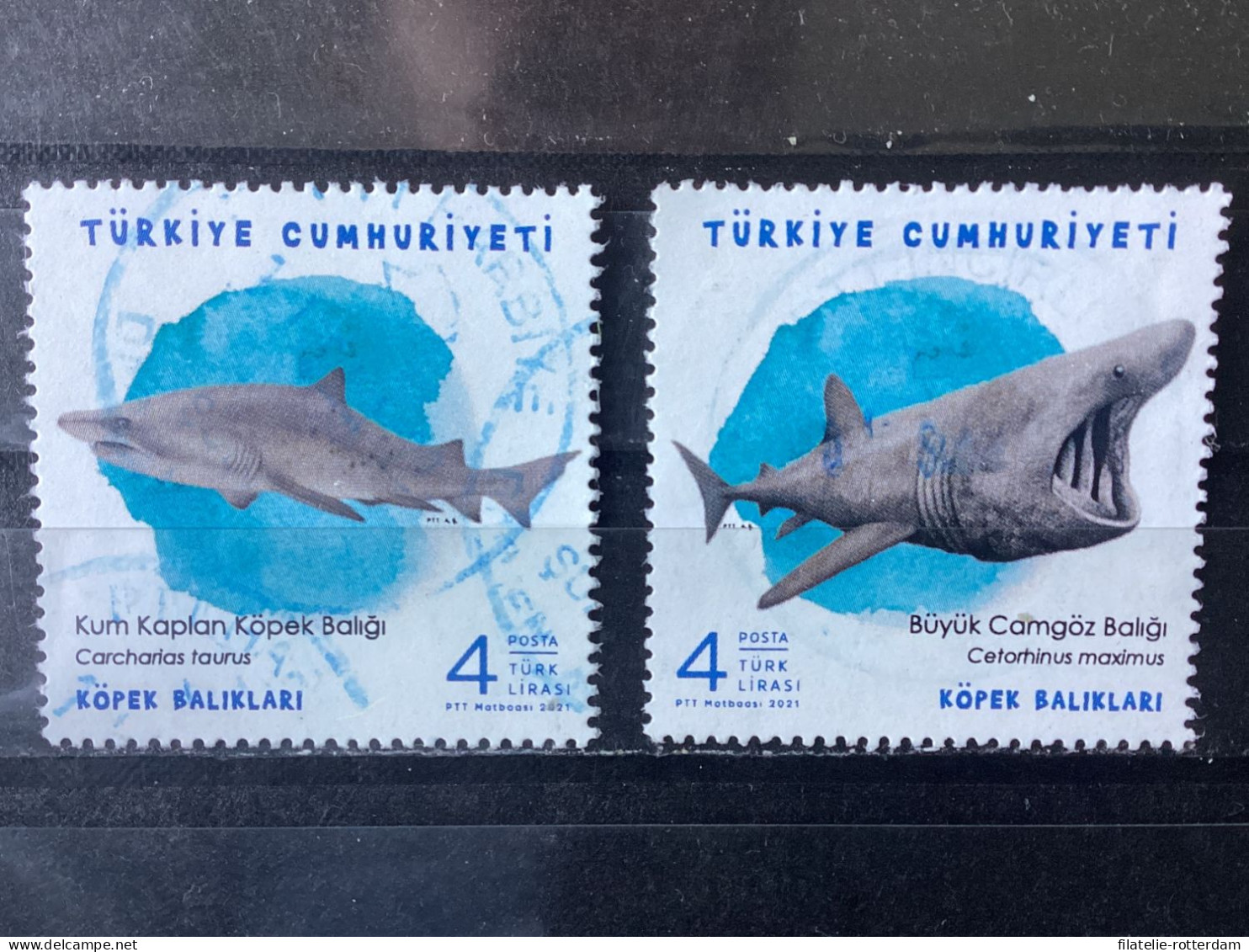 Turkey / Turkije - Set Sharks 2021 - Usados