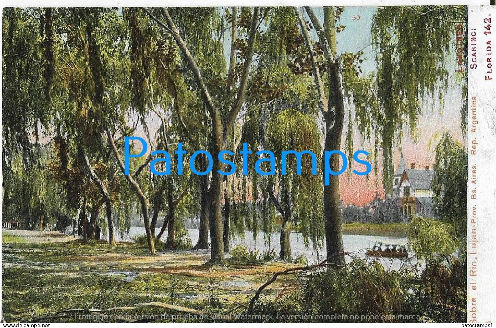 228313 ARGENTINA BUENOS AIRES TIGRE SOBRE EL RIO LUJAN VISTA PARCIAL POSTAL POSTCARD - Argentine