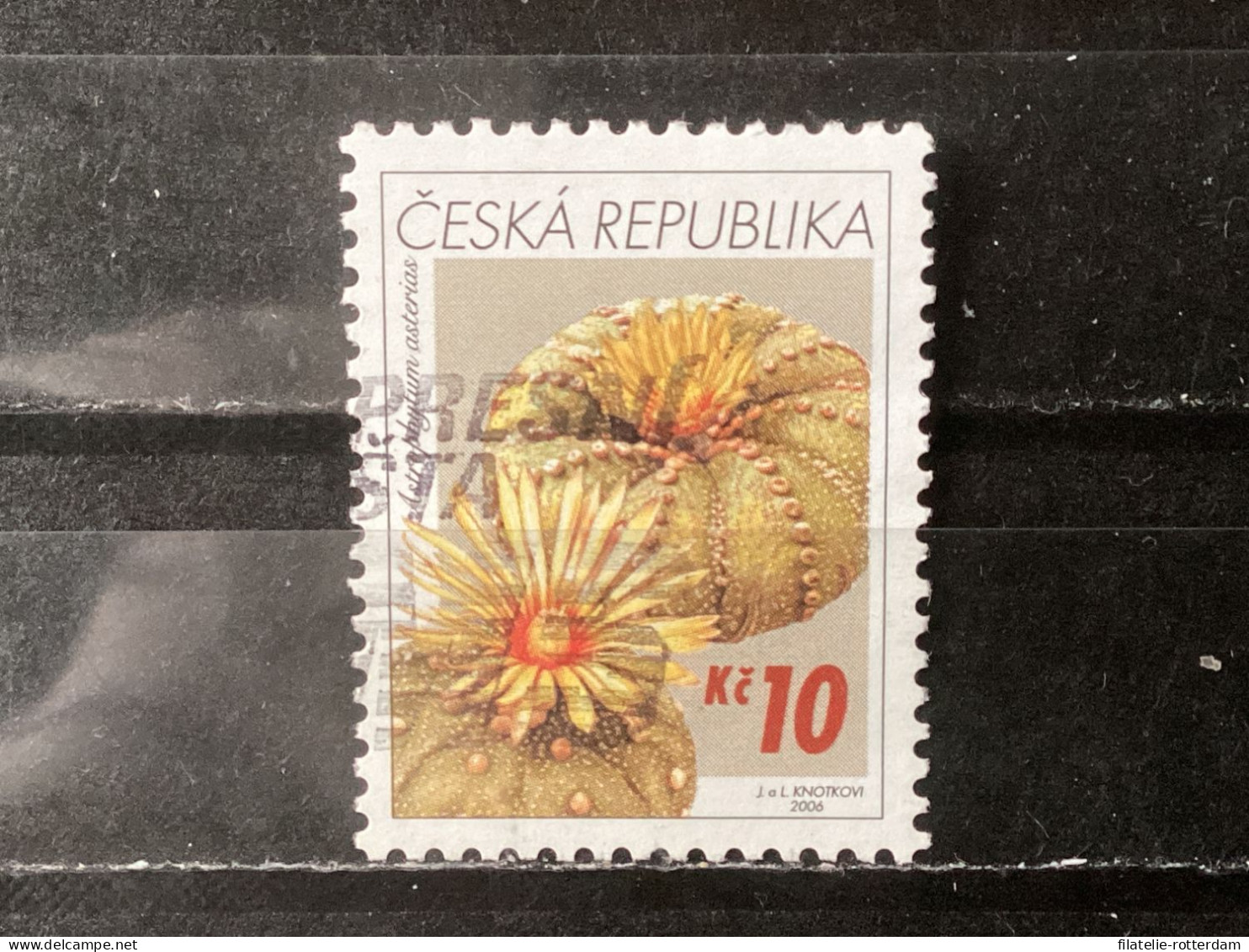 Czech Republic / Tsjechië - Cactuses (10) 2006 - Used Stamps
