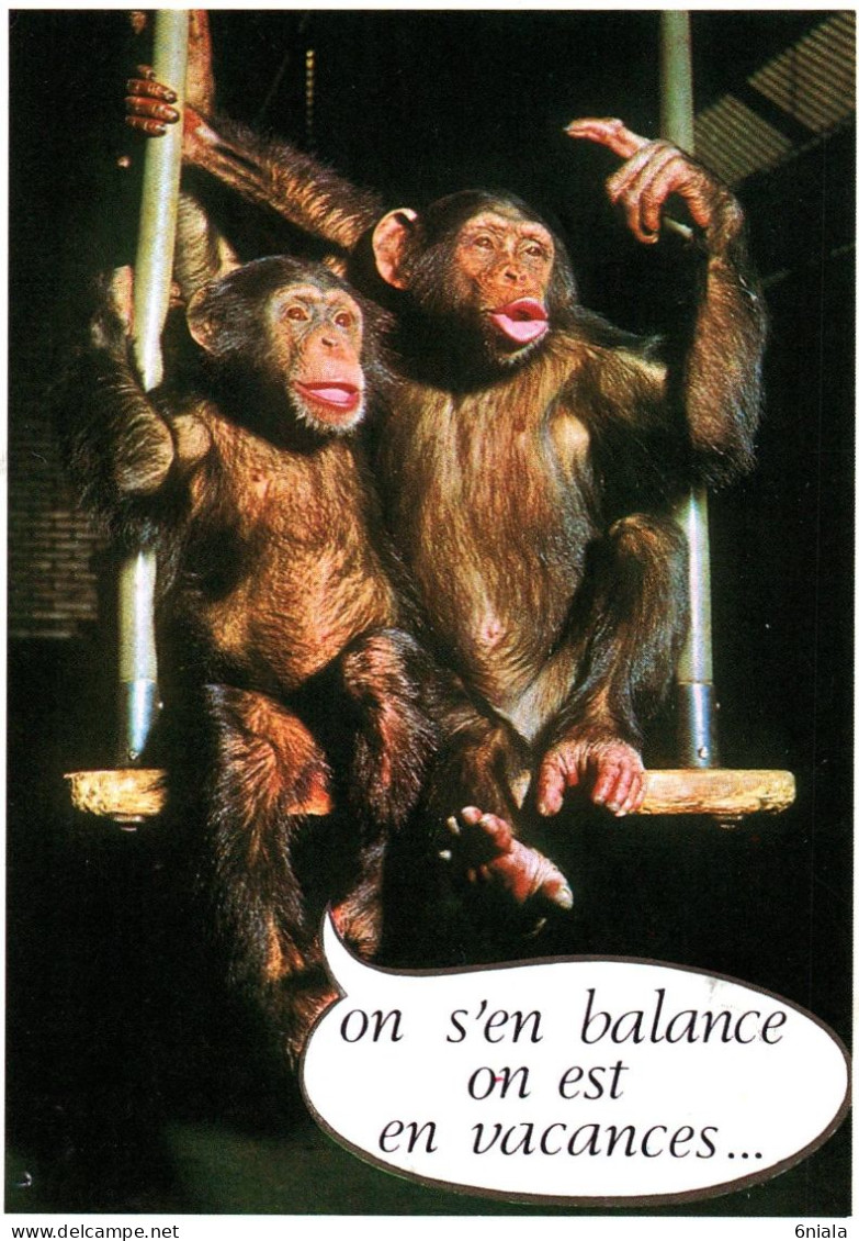 18746  Couple De Singe On S'en Balance On Est En Vacances     (2 Scans) - Singes