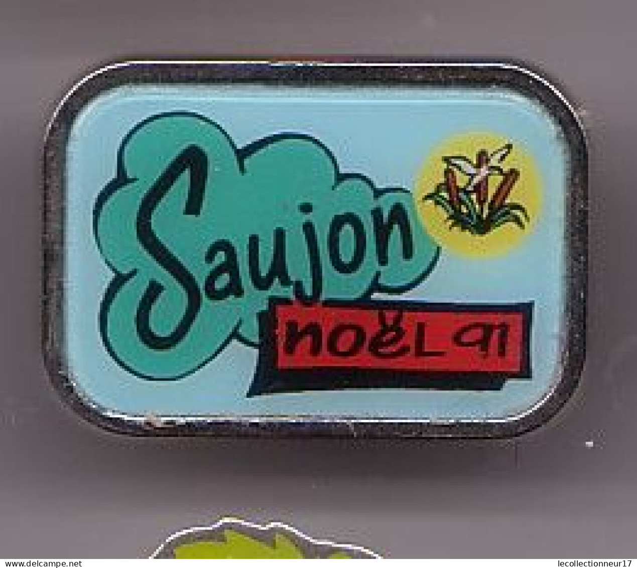 Pin's Ville De Saujon Noël 91 Roseau Et Oiseau Dpt 17 Réf  1032 - Ciudades