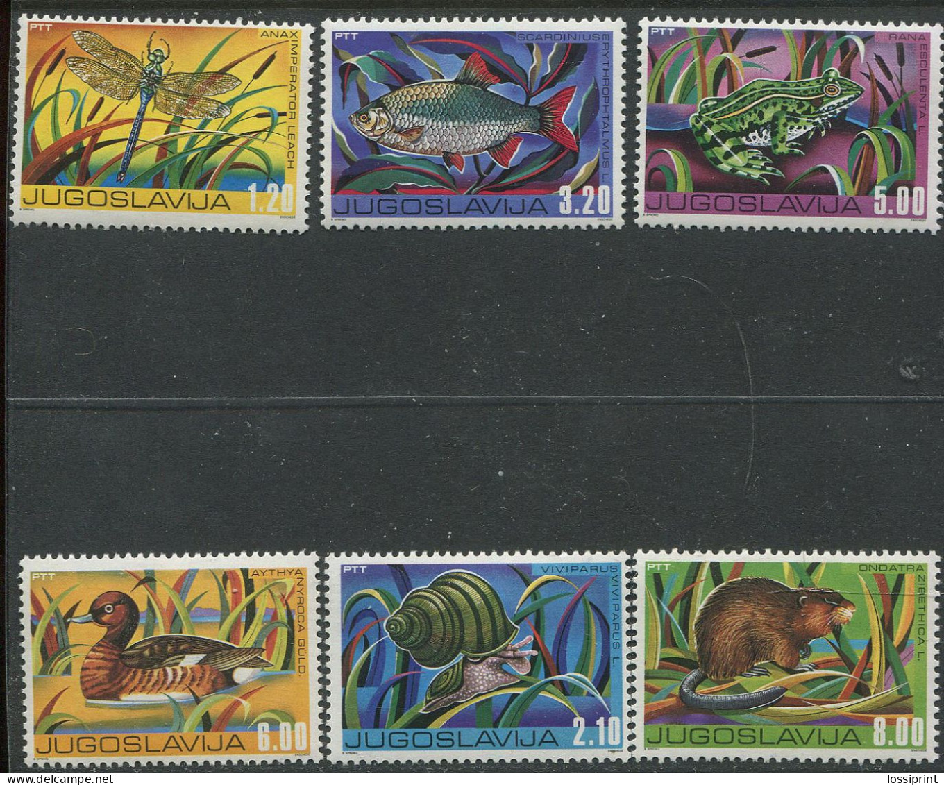 Jugoslavija:Yugoslavia:Unused Stamps Serie Animal, Bird, Fish, Drgonfly, Frog, Snail, Beaver, 1976, MNH - Autres & Non Classés
