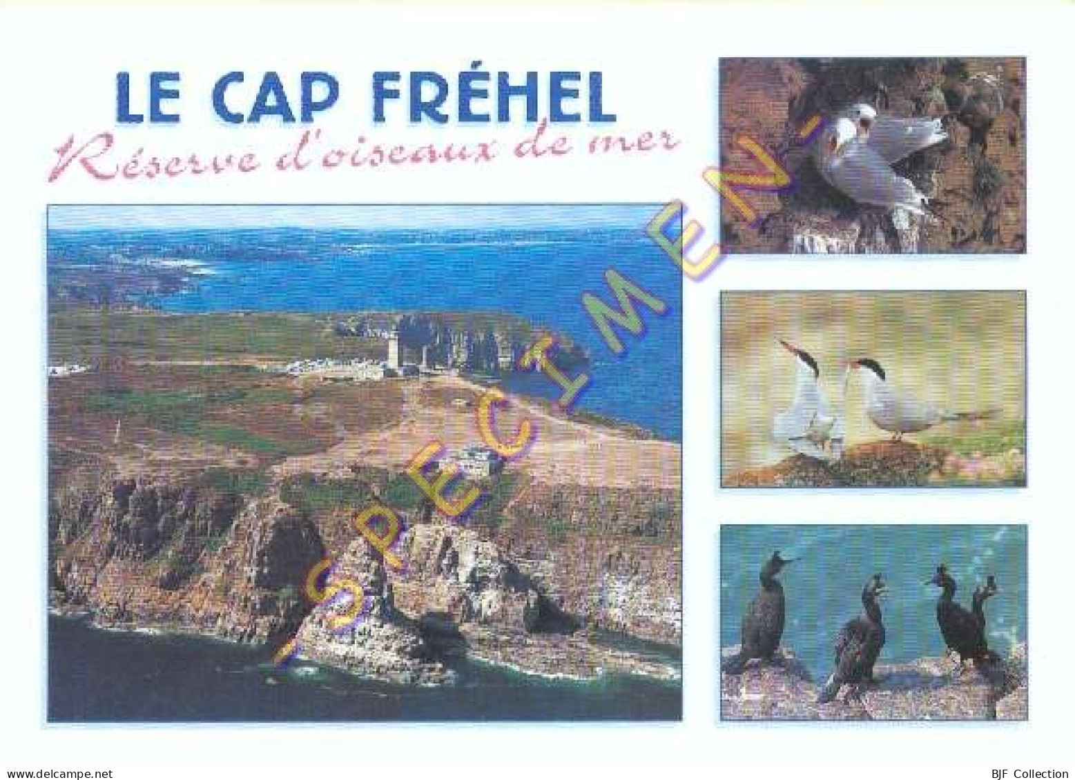 22. LE CAP FREHEL – Réserve D'oiseaux De Mer – Multivues - Cap Frehel