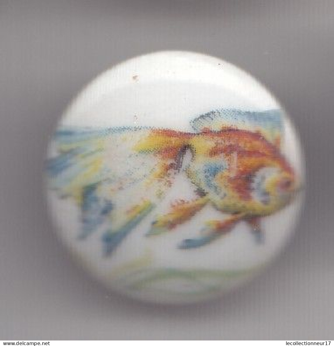 Pin's A.M. En Porcelaine De Limoges Poisson  Réf 8142 - Tiere