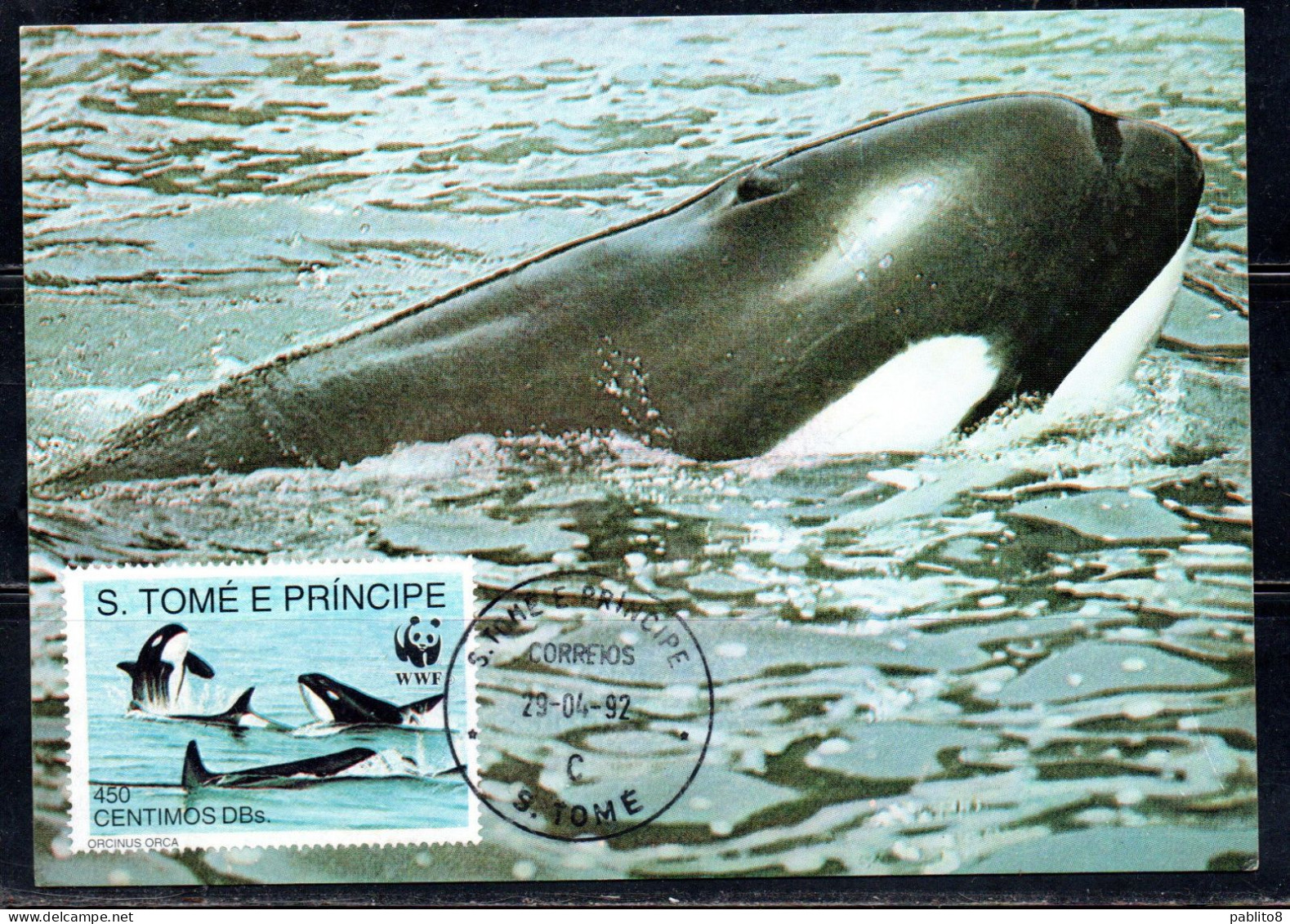 SAO S. SAN TOME' E PRINCIPE 1992 WWF MARINE LIFE FISHES ORCA 450c MAXI MAXIMUM CARD CARTE - Sao Tome And Principe