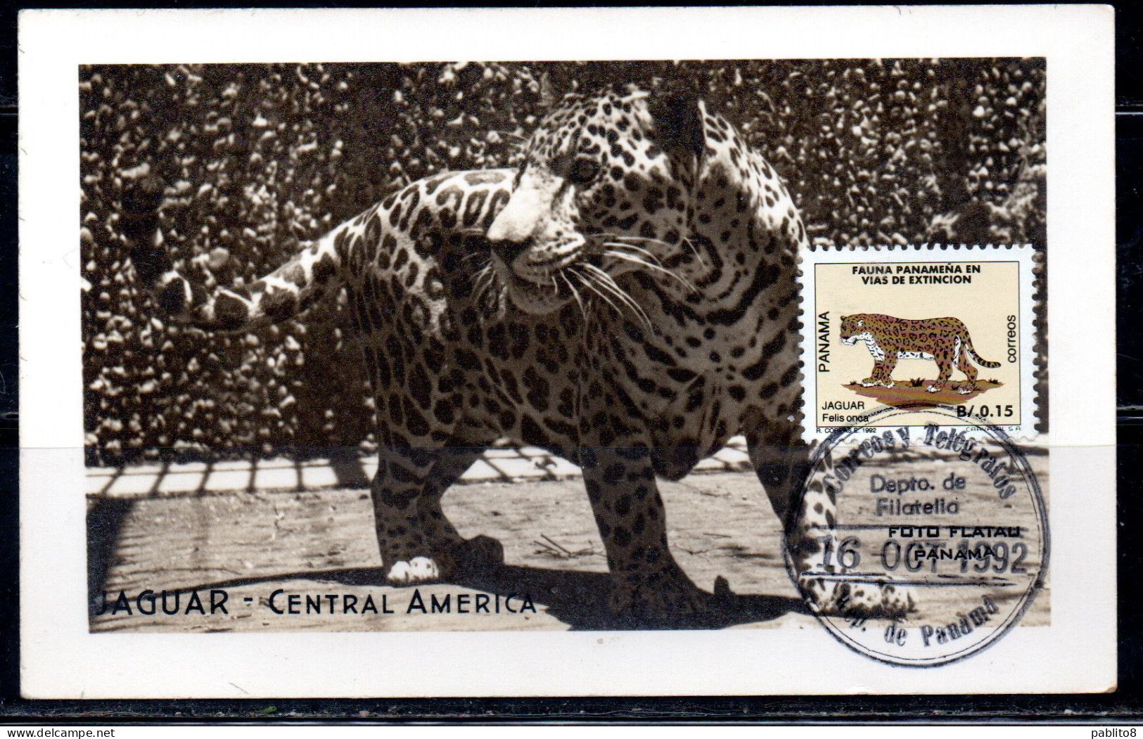 REPUBLICA DE PANAMA REPUBLIC 1992 FAUNA ANIMALS PANAMEÑA EN PELIGRO DE EXTINCION JAGUAR 0.15 MAXI MAXIMUM CARD CARTE - Panama