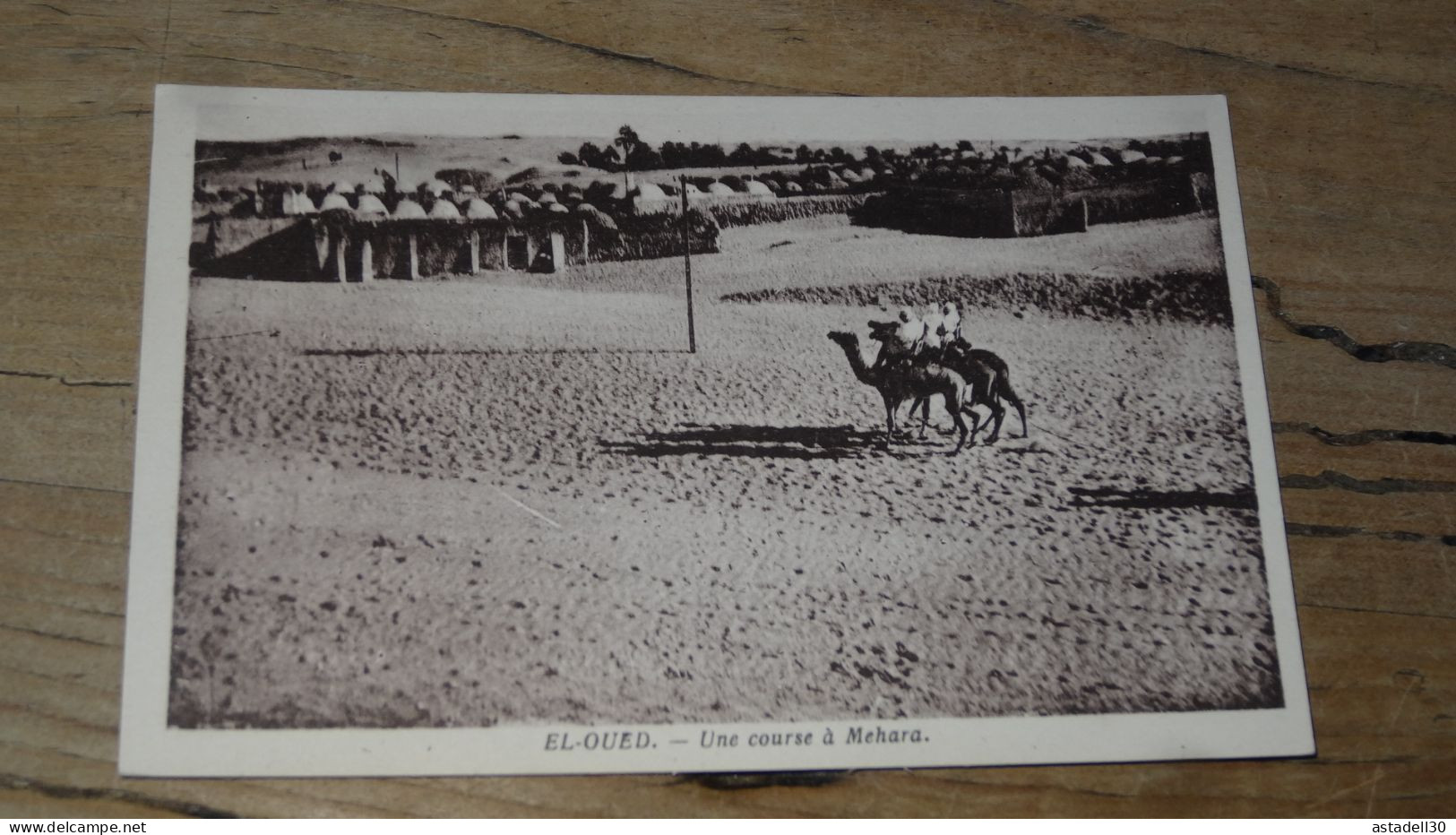 EL OUED, Une Course A Méhara ............... BE2-18865b - El-Oued