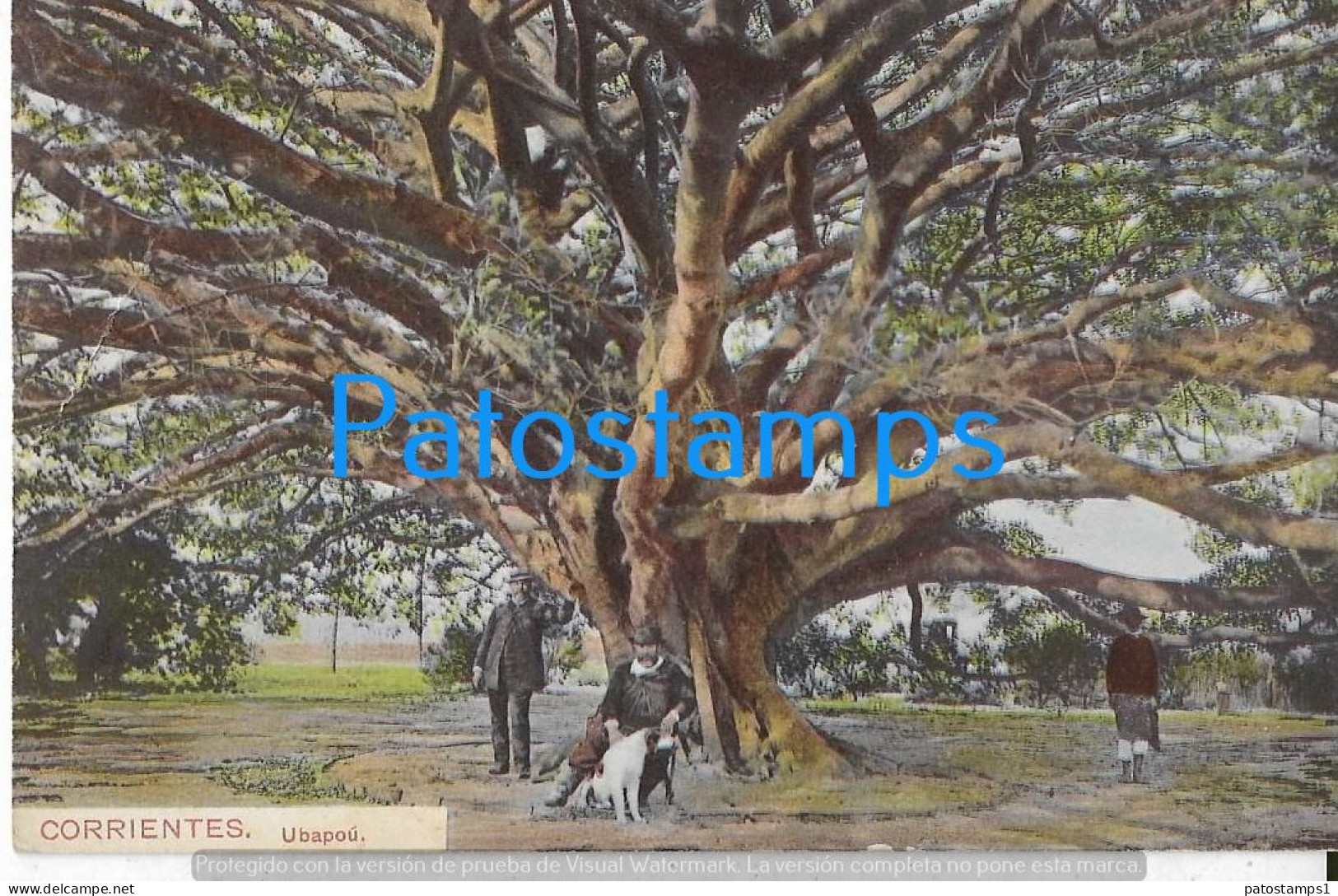 228360 ARGENTINA CORRIENTES UBAPOU TREE ARBOL COSTUMES PEOPLE & DOG POSTAL POSTCARD - Argentine