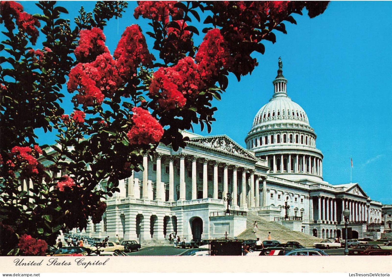 ETATS-UNIS - United States Capitol - Animé - Vue Panoramique - Carte Postale - Washington DC
