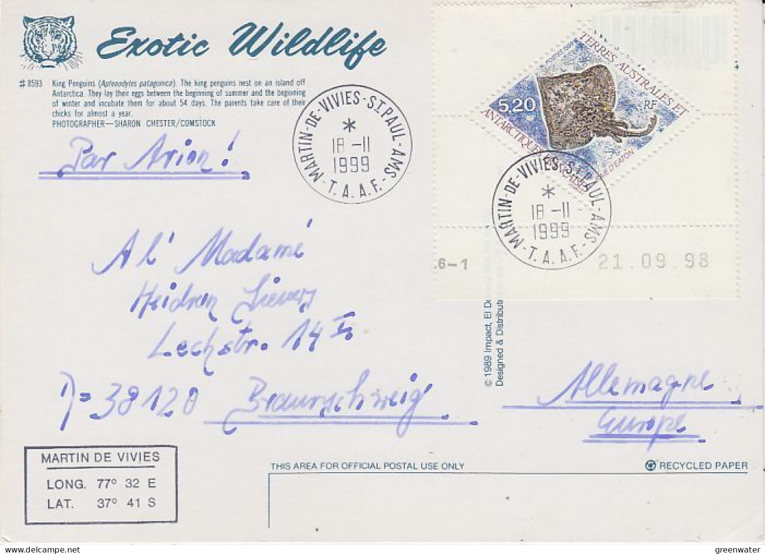 TAAF Large Postcard King Penguin Ca Martin De Vivies 18 II 1999 (59740) - Storia Postale