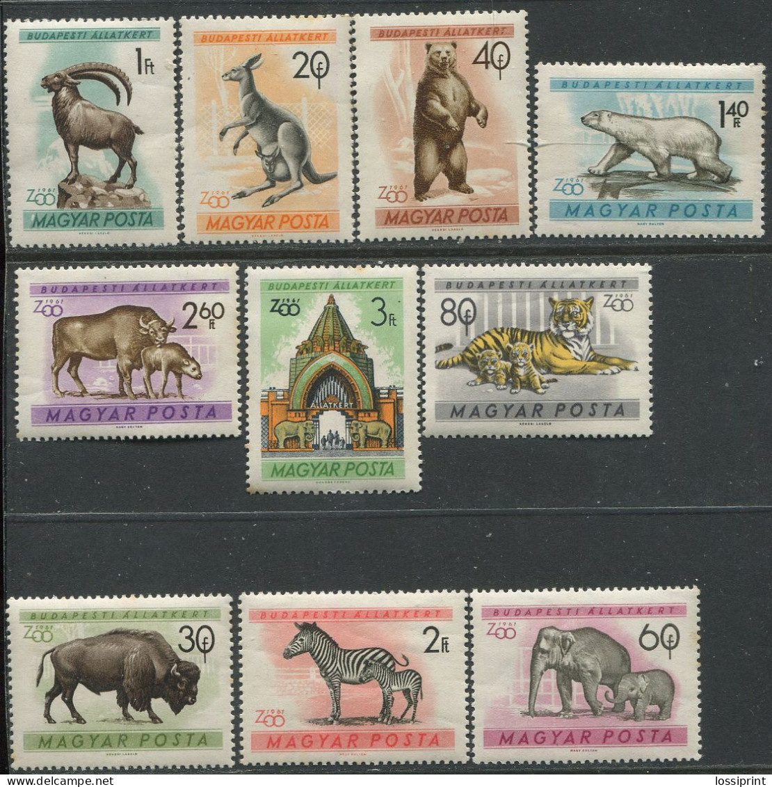 Hungary:Unused Stamps Serie Animals, Bear, Polar Bear, Bison, Zebra, Elephants, Tiger, Zoo, 1961, MNH - Otros & Sin Clasificación