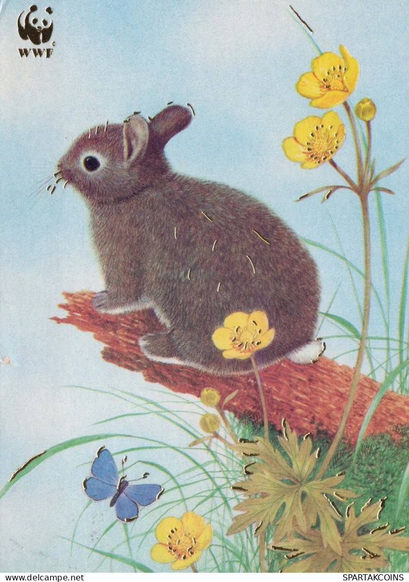 OSTERN KANINCHEN Vintage Ansichtskarte Postkarte CPSM #PBO435.A - Easter