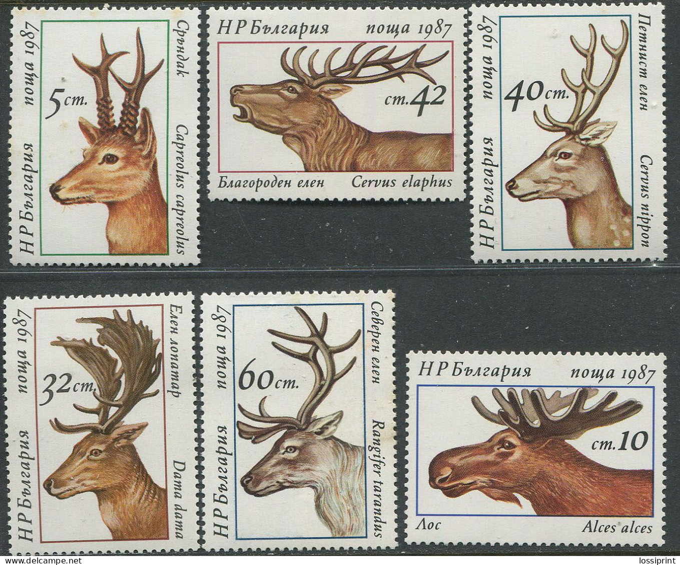 Bulgaria:Unused Stamps Serie Animals, Goat, Deer, Moose, 1987, MNH - Otros & Sin Clasificación