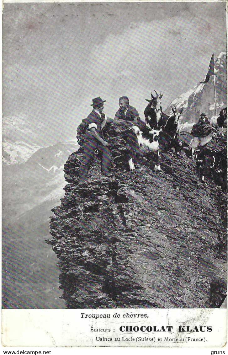 Troupeau De Chèvres Editeurs Chocolat Klaus Usines De Locle Suisse Et Morteau France - Collezioni E Lotti