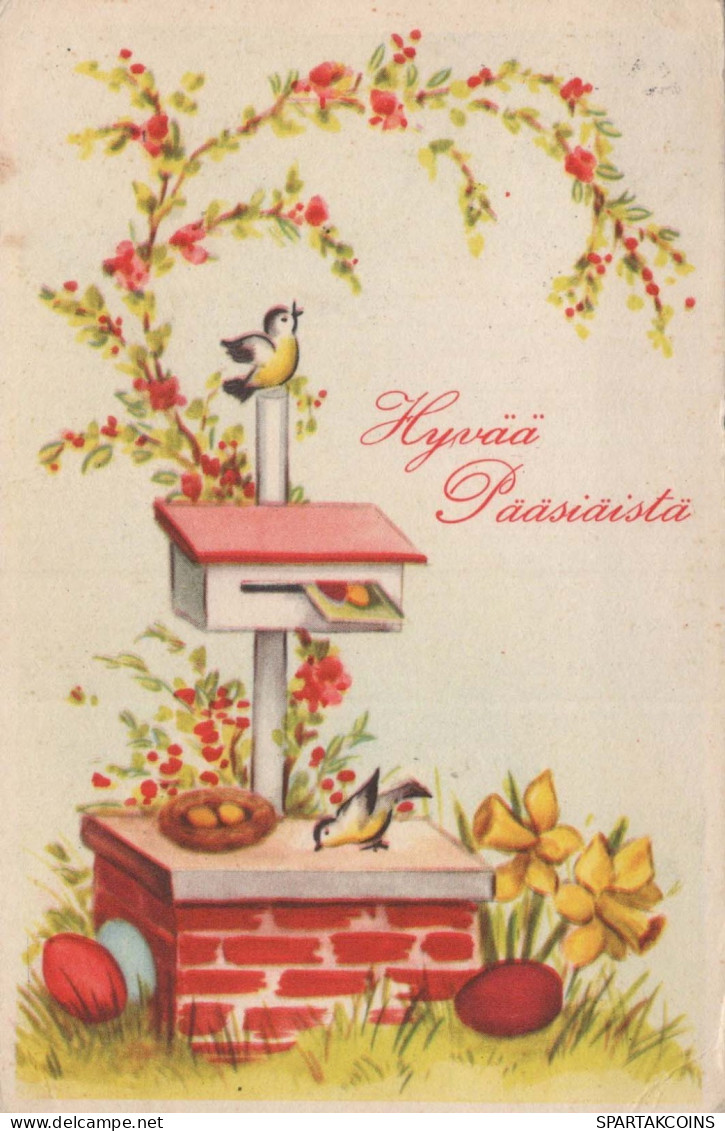 PASQUA POLLO UOVO Vintage Cartolina CPA #PKE108.A - Easter