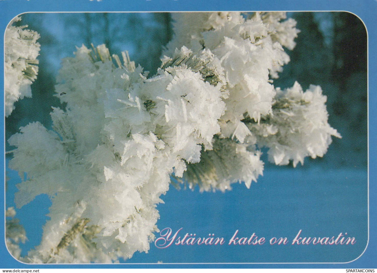 FLOWERS Vintage Ansichtskarte Postkarte CPSM #PBZ538.A - Blumen