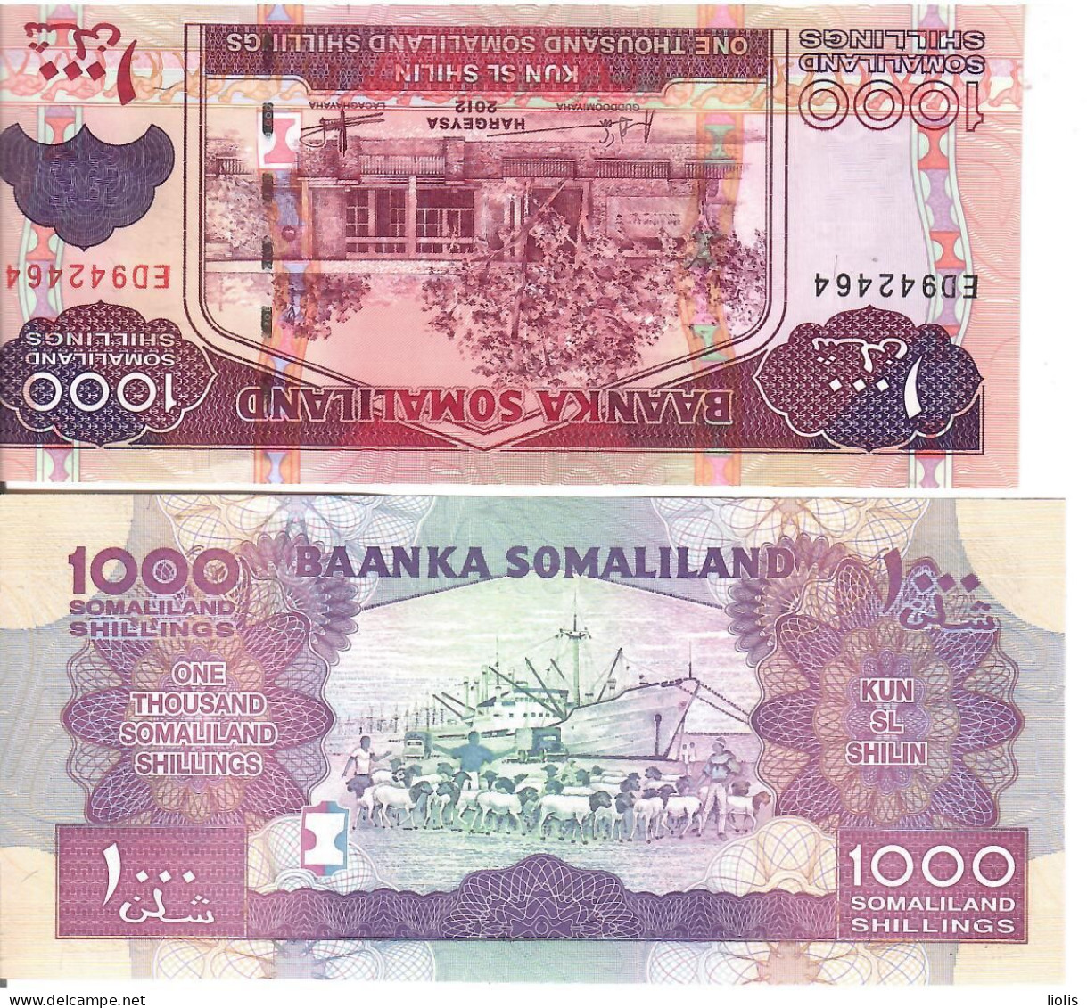 Somalia  P-20  1000 Shillings  2012  UNC - Somalia