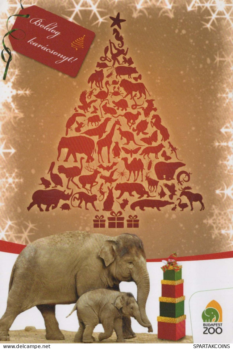 ELEFANT Tier Vintage Ansichtskarte Postkarte CPSM #PBS769.A - Elefanti