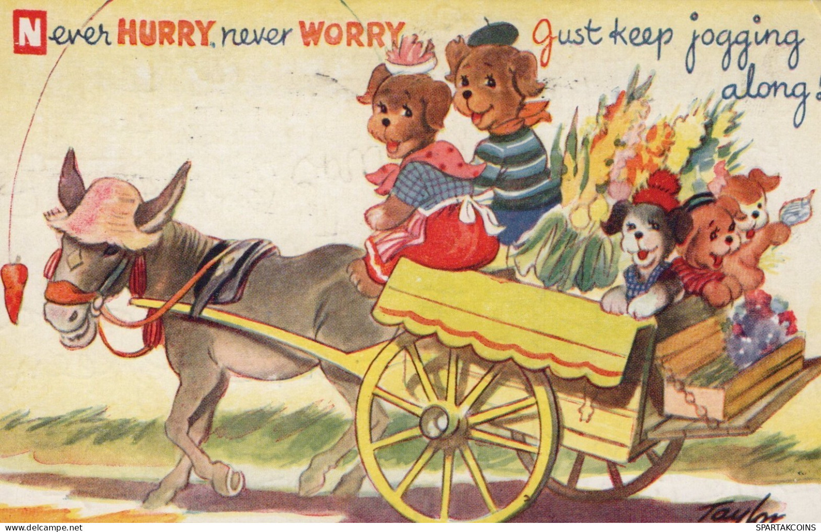 ÂNE Animaux Vintage Antique CPA Carte Postale #PAA314.A - Donkeys