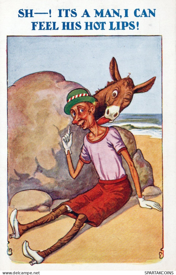 ESEL Tiere Vintage Antik Alt CPA Ansichtskarte Postkarte #PAA250.A - Esel