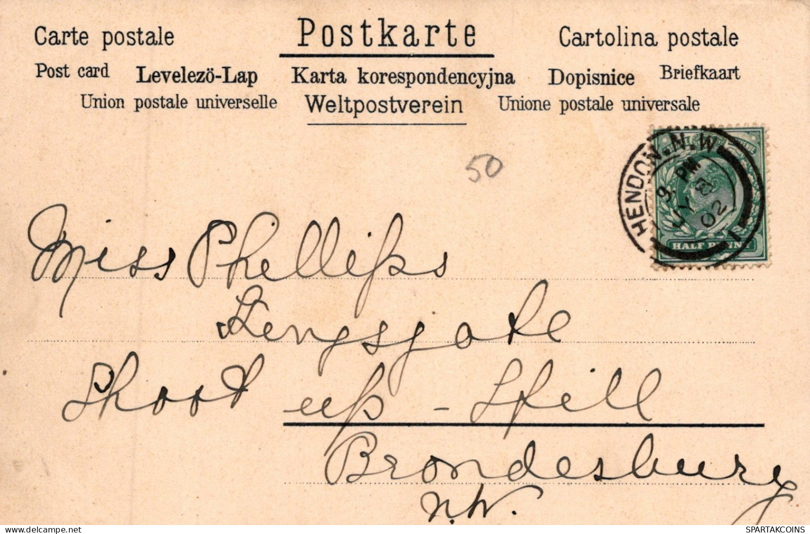 1902 ÂNE Animaux Vintage Antique CPA Carte Postale #PAA115.A - Ezels