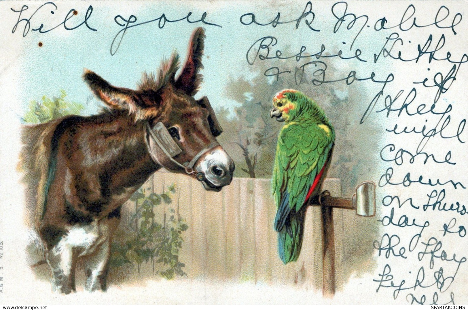 1902 ÂNE Animaux Vintage Antique CPA Carte Postale #PAA115.A - Donkeys