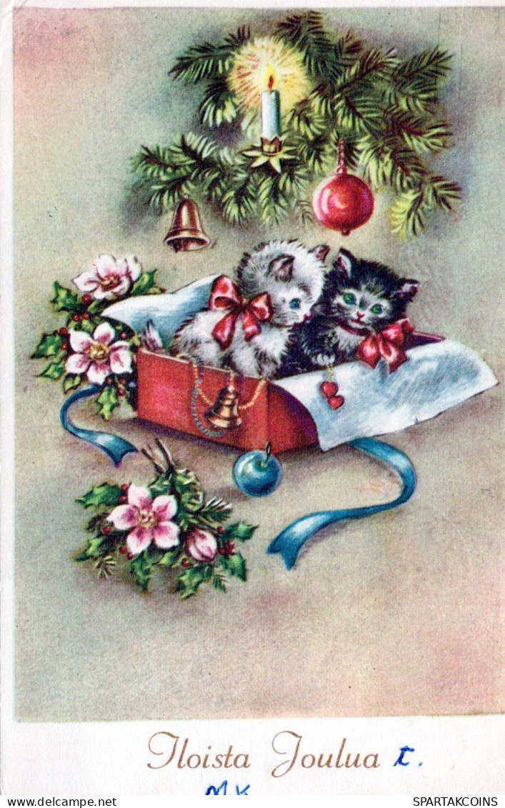 CHAT Vintage Carte Postale CPSMPF #PKG917.A - Katten