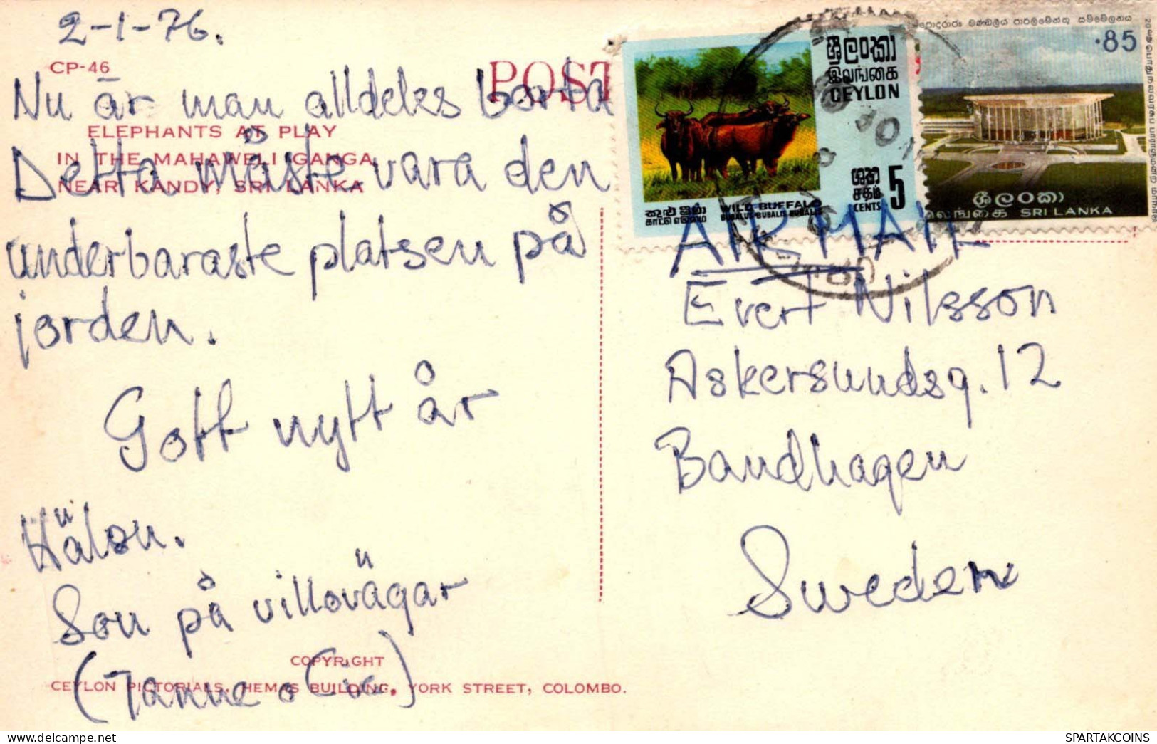 ELEFANTE Animale Vintage Cartolina CPA #PKE763.A - Olifanten