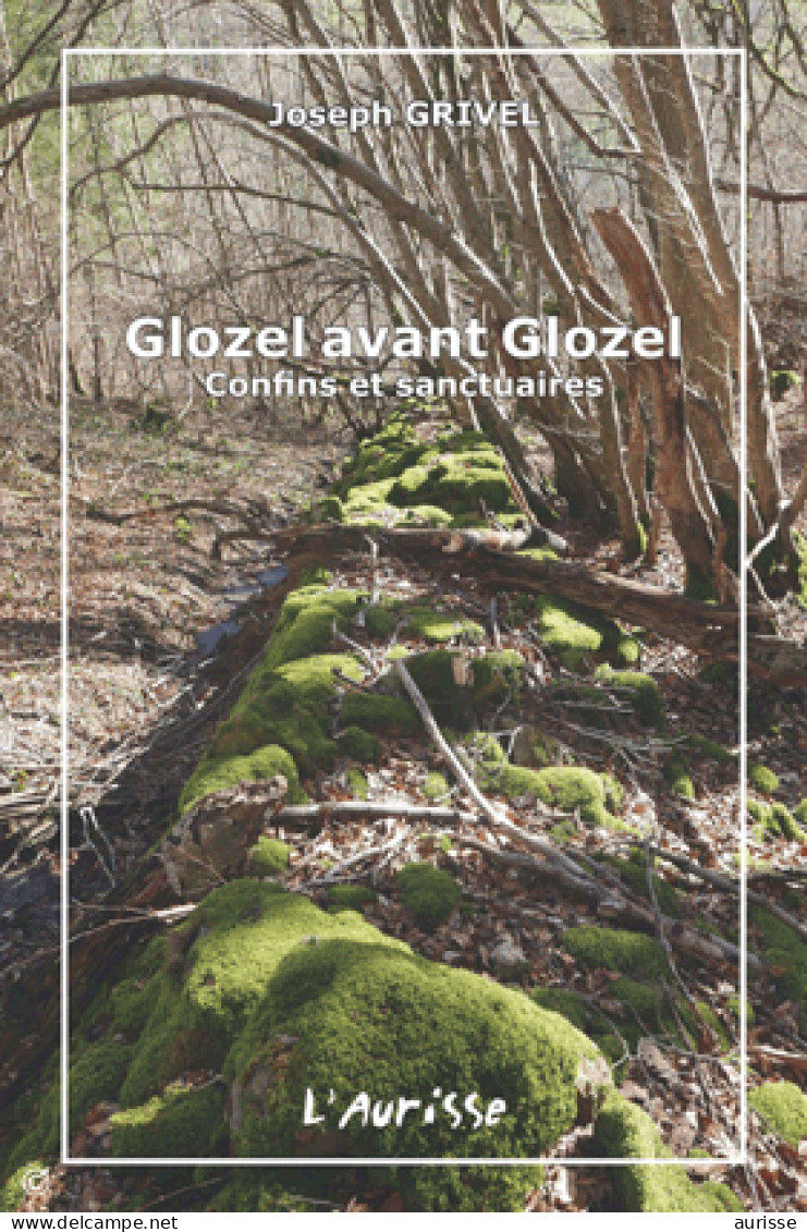 Glozel Avant Glozel – Confins Et Sanctuaires, 2019. Archéologie Bourbonnaise - Archeologie