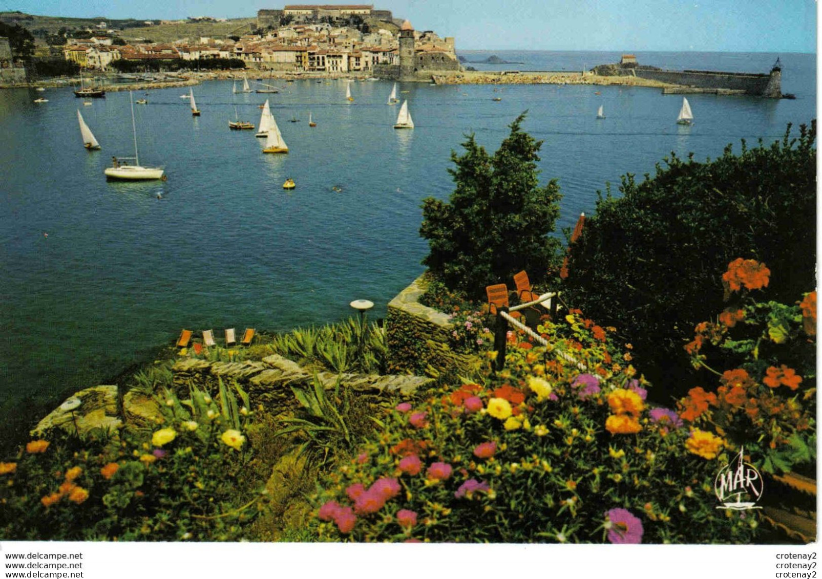 66 COLLIOURE N°11018 Le Port Avec Voiliers Chaises Longues VOIR DOS - Collioure