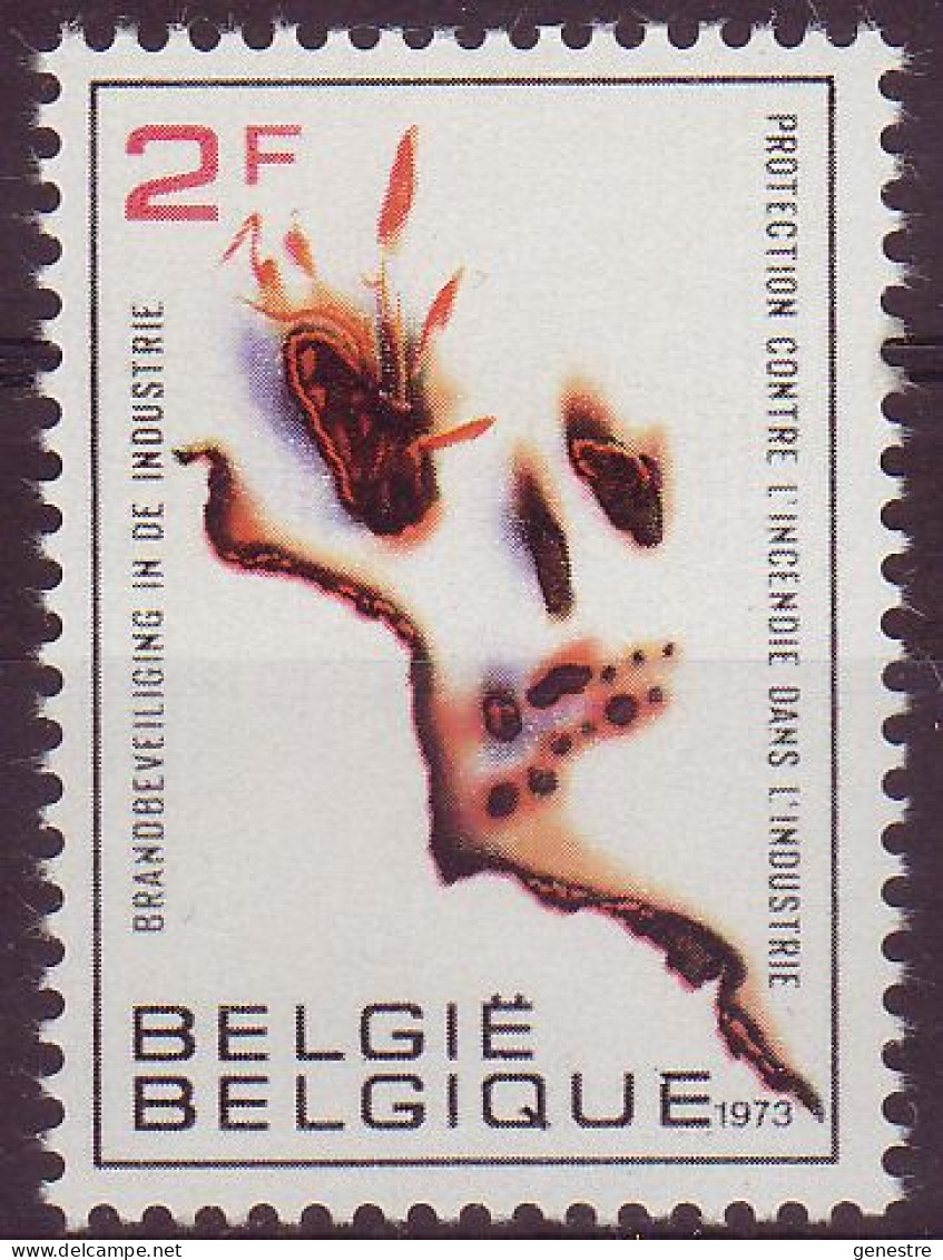 Belgique - 1973 - COB 1660P3 ** (MNH) - Nuovi