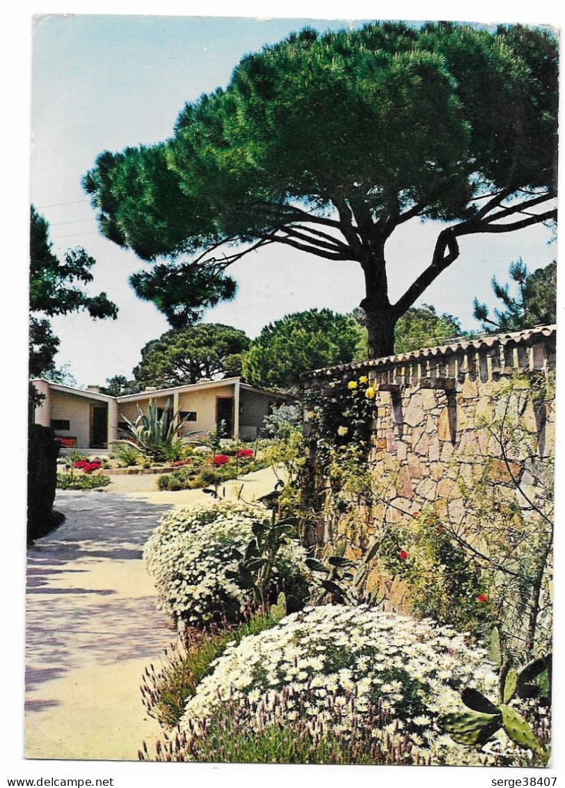 Sainte Maxime - 1983 - Les Bungalows De L'Hôtel Maxima - N° 1061 # 2-23/20 - Sainte-Maxime