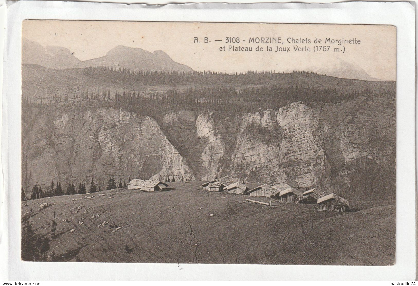 CPA :  14 X 9  -  MORZINE, Chalets De Morginette Et Plateau De La Joux Verte - Morzine