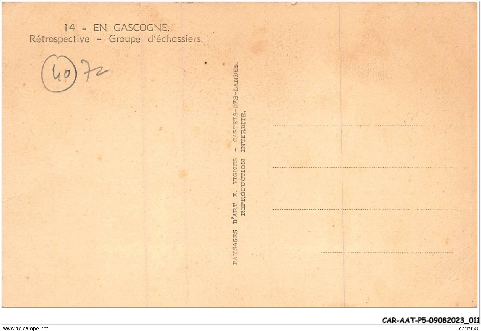 CAR-AATP5-39-0410 - EN GASCOGNE - Rétrospective - Groupe D'échassiers - Autres & Non Classés
