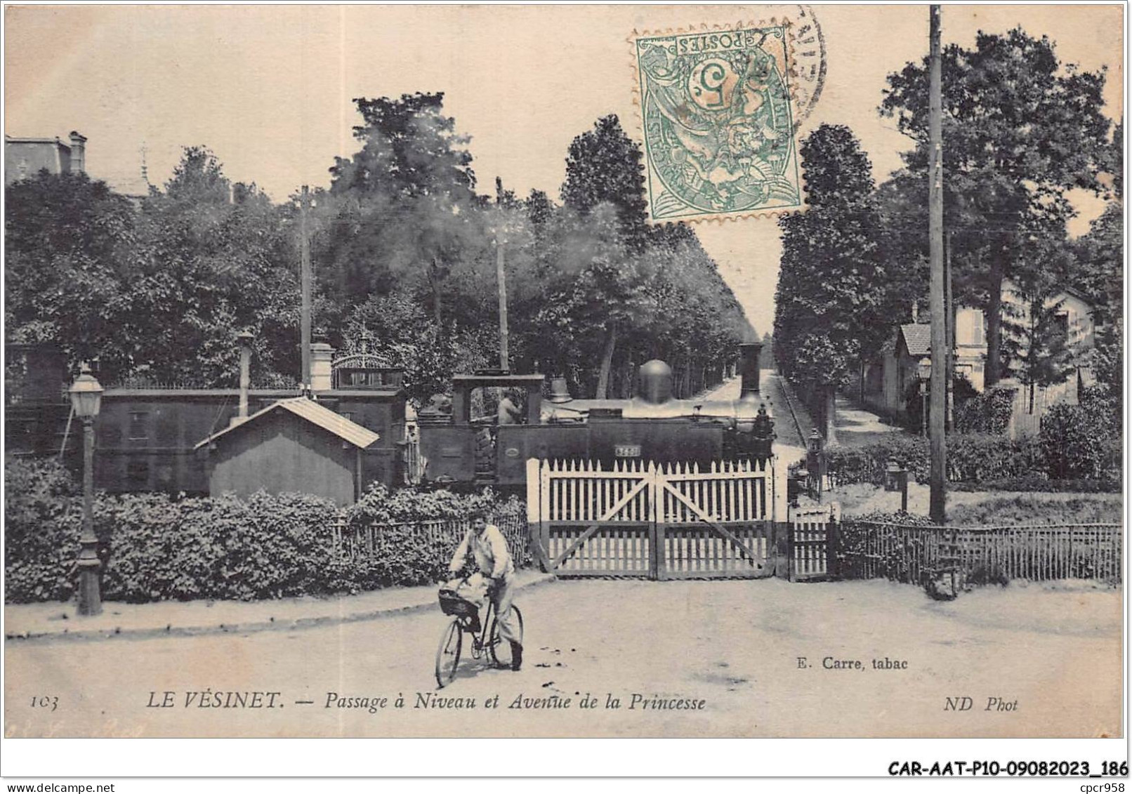 CAR-AATP10-78-0918 - LE VESINET - Passage Et Avenue De La Princesse - Le Vésinet