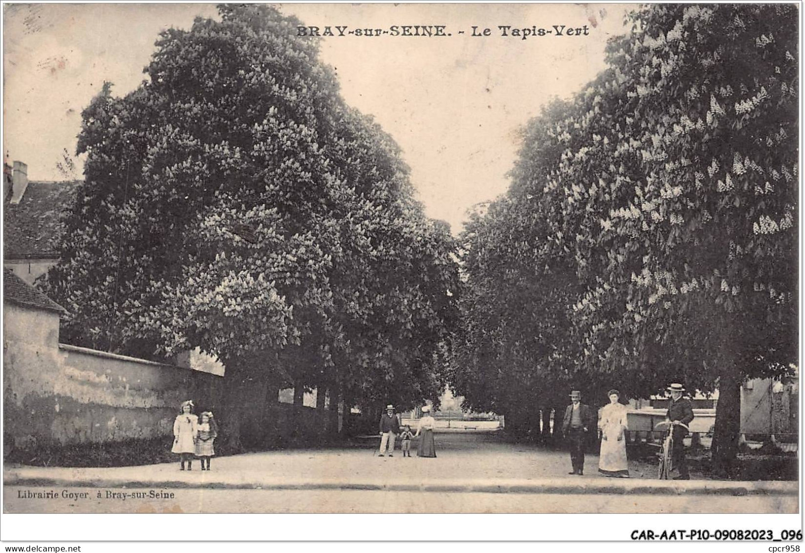 CAR-AATP10-77-0872 - BRAY-SUR-SEINE - Le Tapis Vert - Vendu En L'état - Bray Sur Seine