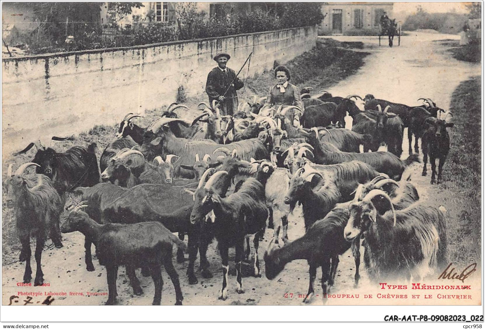 CAR-AATP8-65-0672 - Types Méridionaux - Troupeau De Chèvres Et Le Chevrier - Autres & Non Classés