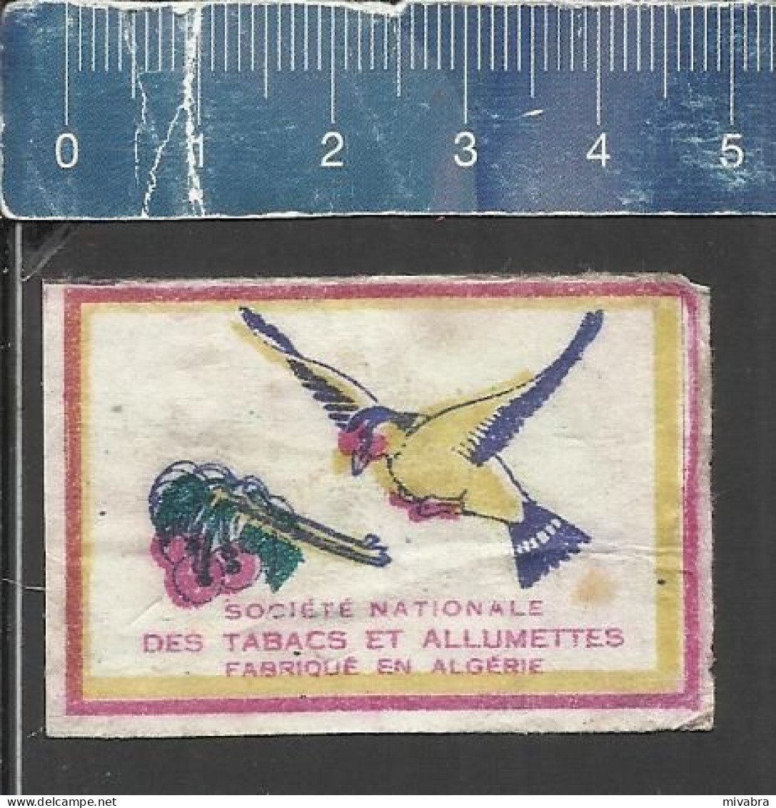 BIRD ( OISEAU VOGEL ) - OLD MATCHBOX LABEL ALGERIA - Luciferdozen - Etiketten